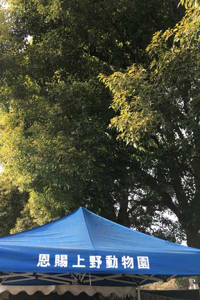 上野動物園 園内