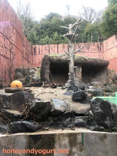 東山動物園 マレーグマ舎