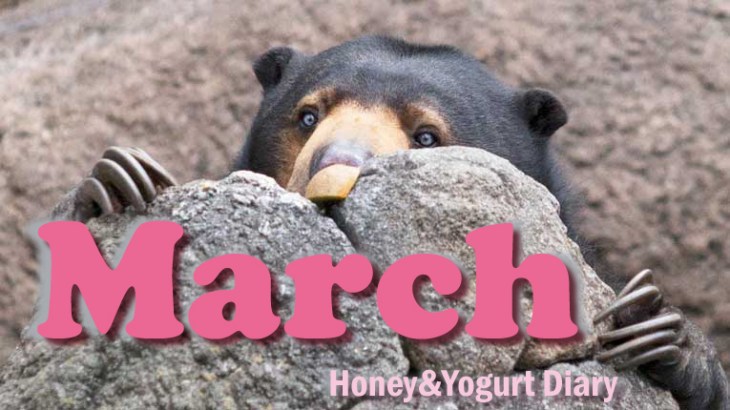 上野動物園 マレーグマ モモコ