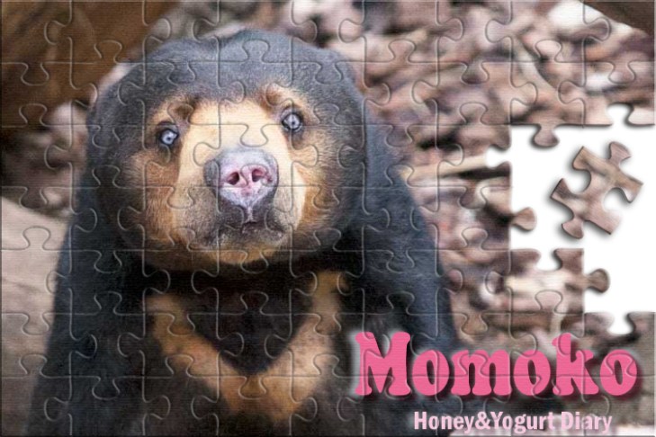 上野動物園　マレーグマ　モモコ