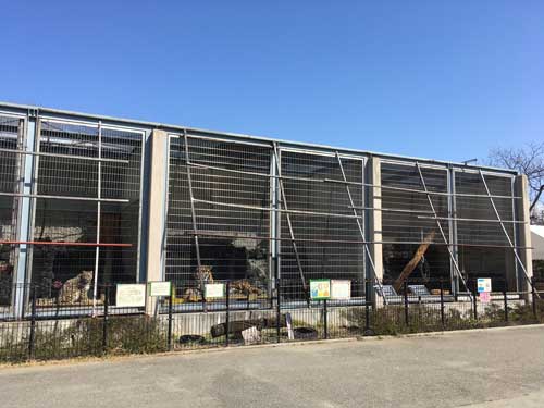 遊亀公園附属動物園 猛獣舎