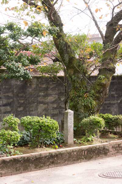 徳山動物園 園内