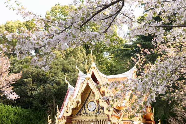 上野動物園 園内