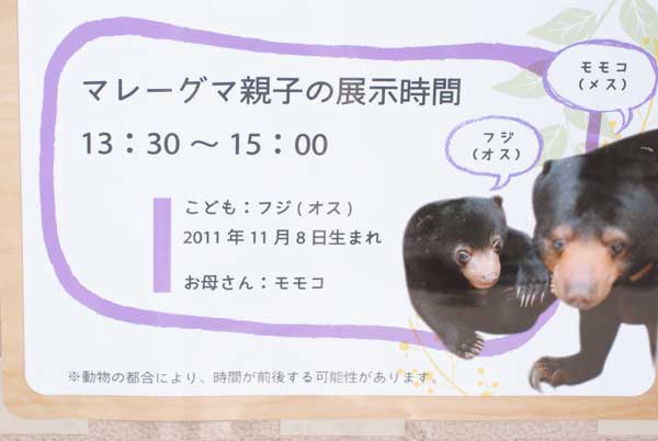 上野動物園　マレーグマ舎