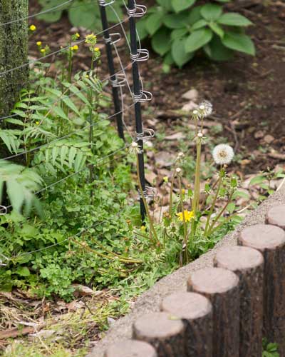 上野動物園　マレーグマ舎