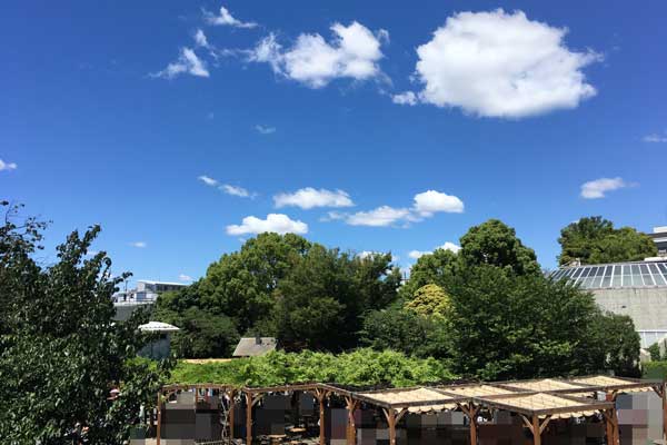 上野動物園 園内