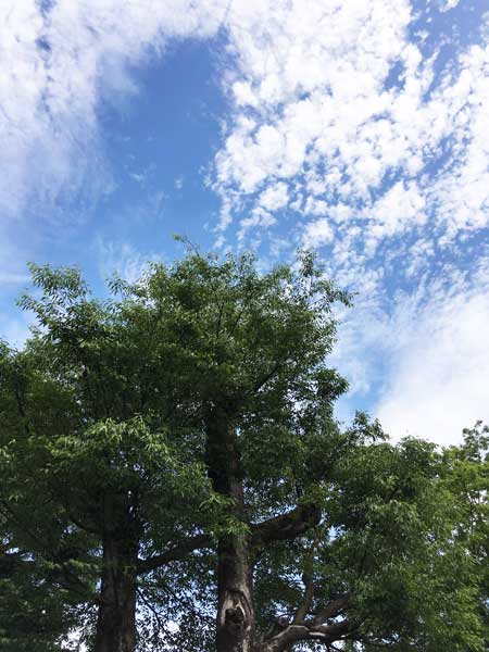 上野動物園 マレーグマ舎