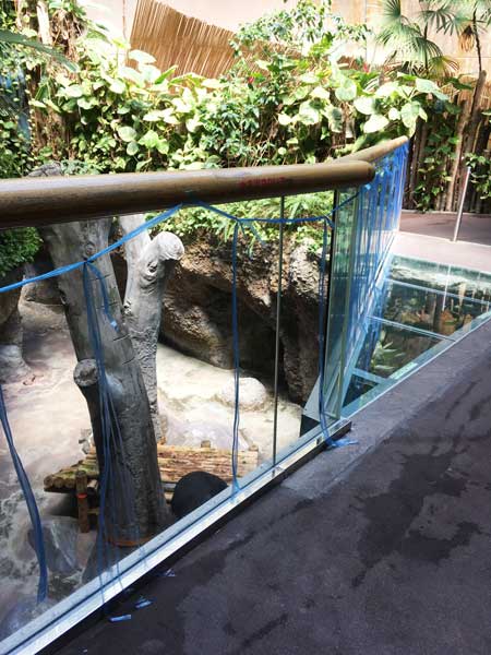 のいち動物公園　マレーグマ舎