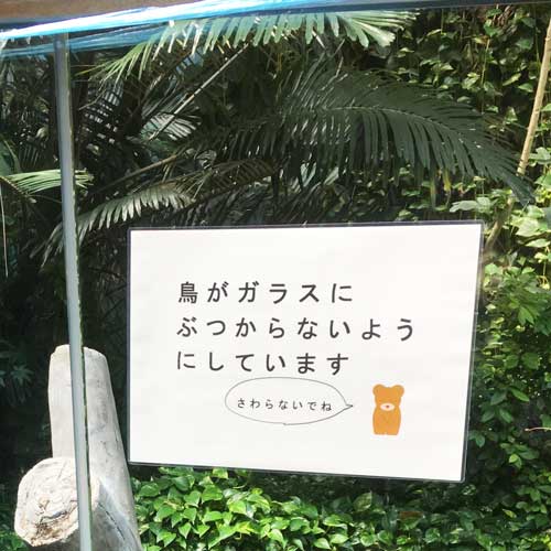 のいち動物公園　マレーグマ舎