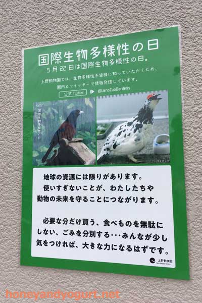 上野動物園 園内