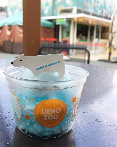 上野動物園　バードソング