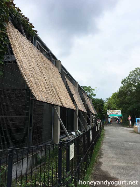 遊亀公園附属動物園 園内 猛獣舎