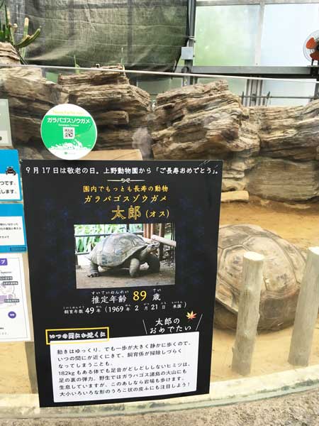 上野動物園 園内