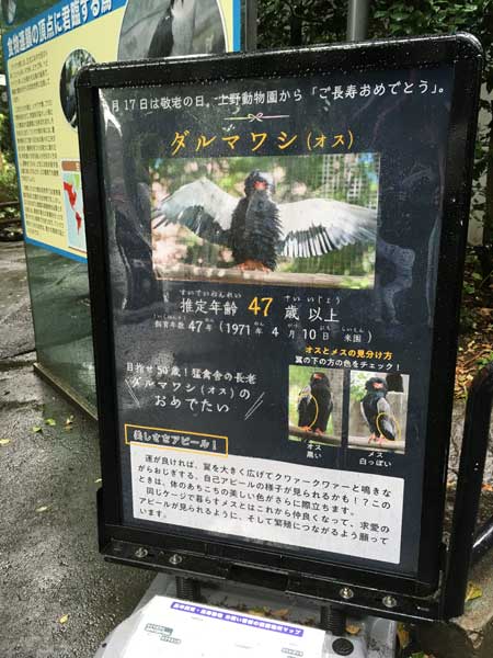 上野動物園 園内