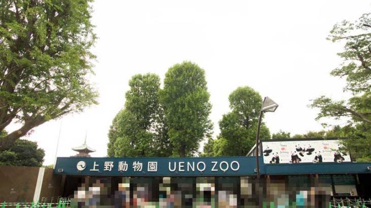 上野動物園 仮設の表門