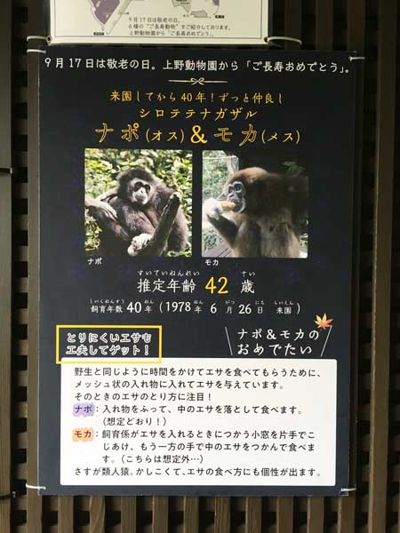 上野動物園 園内