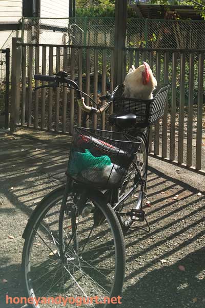 天王寺動物園　園内