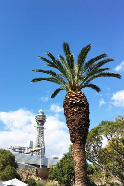 天王寺動物園　園内
