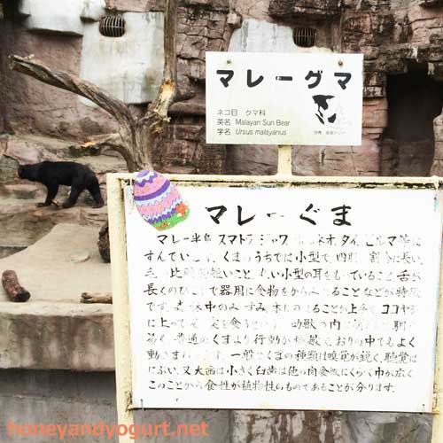 天王寺動物園　マレーグマ舎