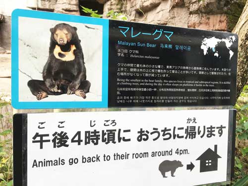 天王寺動物園　マレーグマ舎