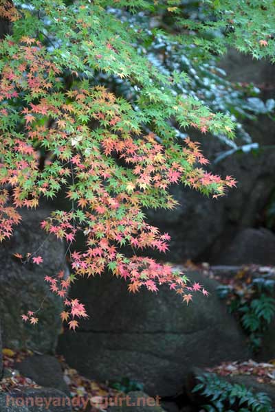 上野動物園　園内