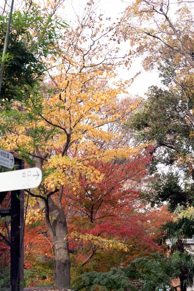 上野動物園　園内