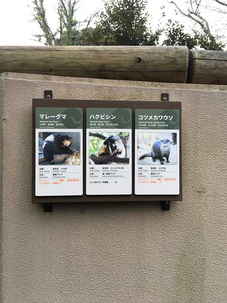 上野動物園　マレーグマ舎