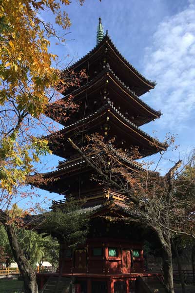 上野動物園　園内