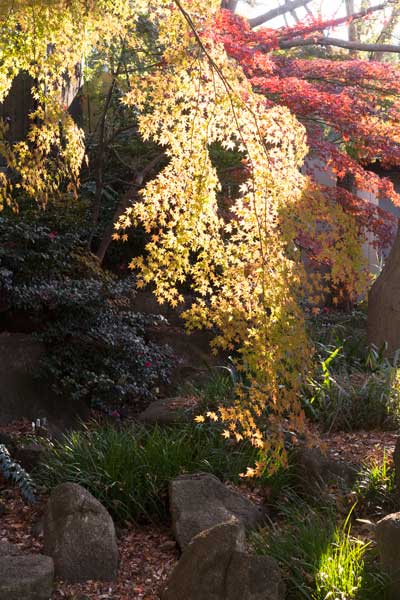 上野動物園 園内