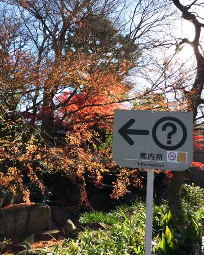 上野動物園 園内