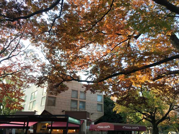 上野動物園　園内