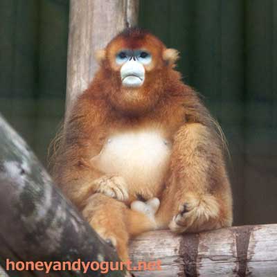 熊本市動植物園　園内