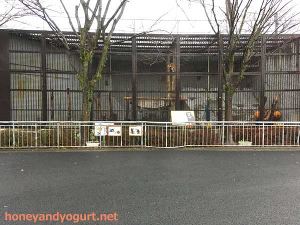 熊本市動植物園 マレーグマ舎