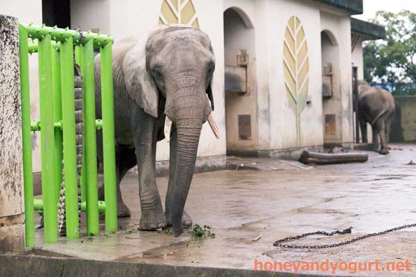 熊本市動植物園　園内