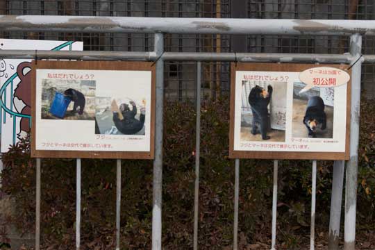 熊本市動植物園 マレーグマ舎
