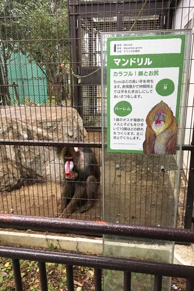 熊本市動植物園　園内