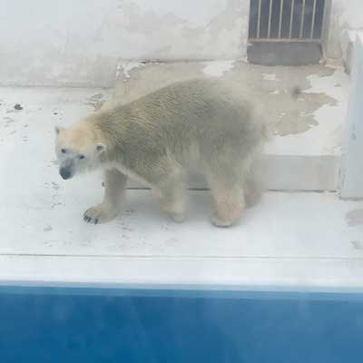 熊本市動植物園　園内