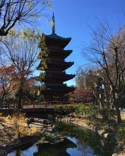 上野動物園　園内