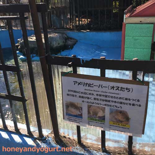 遊亀公園附属動物園 園内