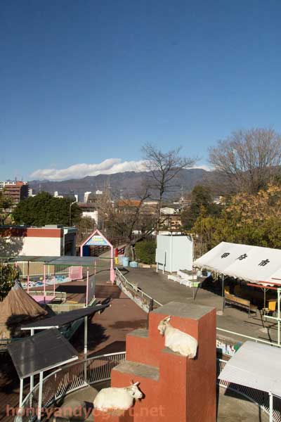 遊亀公園附属動物園 園内