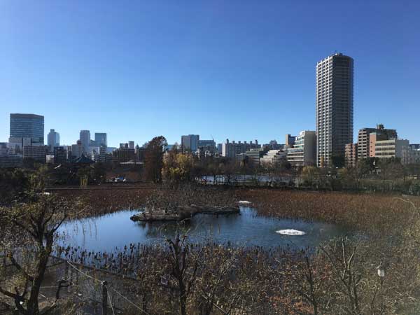 上野動物園　園内