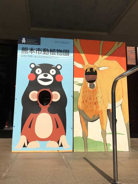 熊本市動植物園　園内