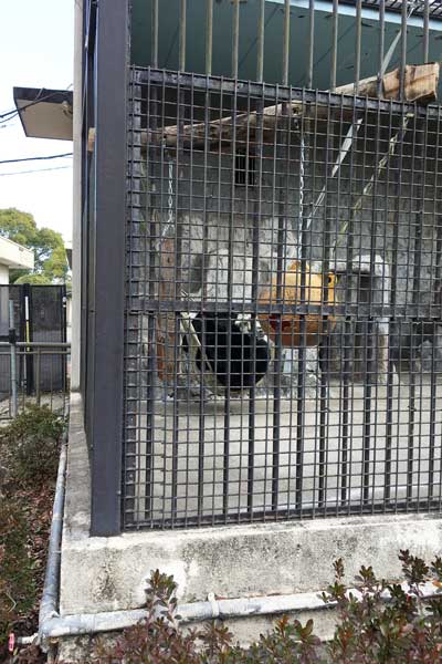 熊本市動植物園　園内
