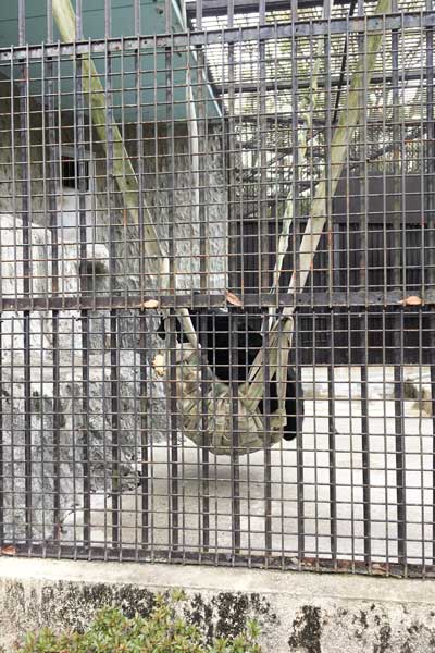 熊本市動植物園　園内