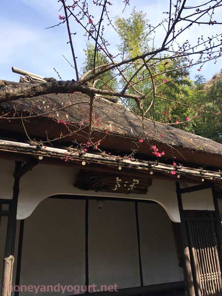 上野動物園　園内