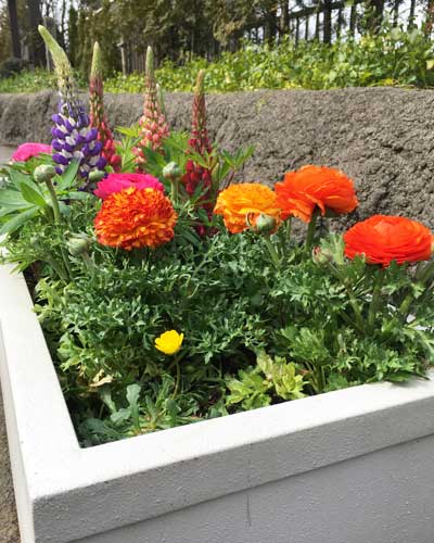 上野動物園 マレーグマ舎