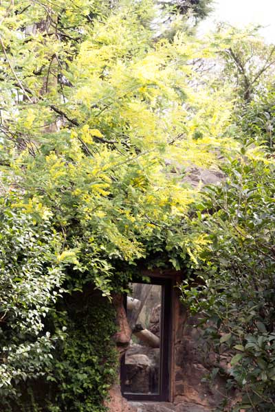 上野動物園 マレーグマ舎