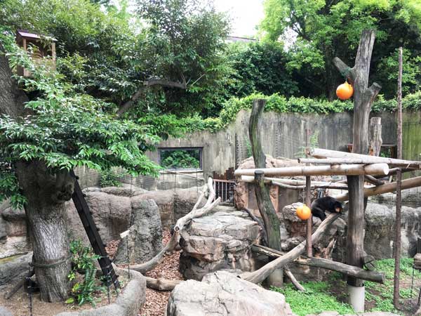 上野動物園　マレーグマ舎