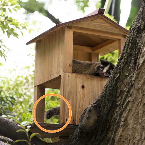 上野動物園　マレーグマ舎