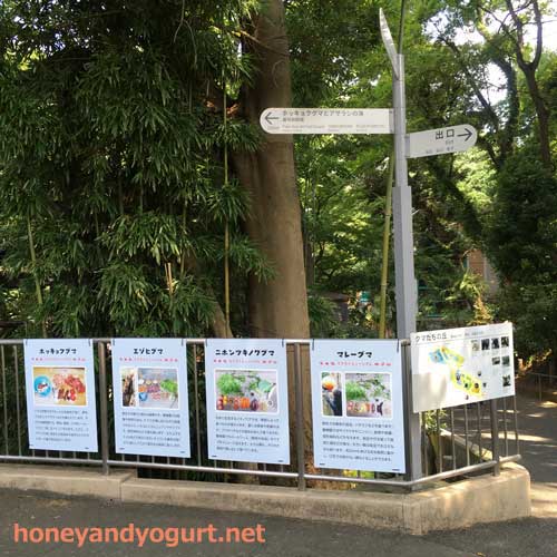 上野動物園　クマたちの丘